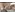 Торжественная церемония открытия фотовыставки, посвященной 25-летию прославления святого праведно...